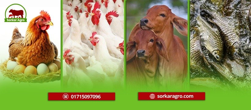 WhatsApp Image 2025-09-11 at 8.16.52 PM