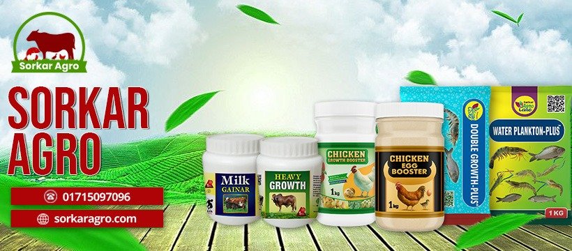 WhatsApp Image 2025-09-12 at 9.48.58 PM